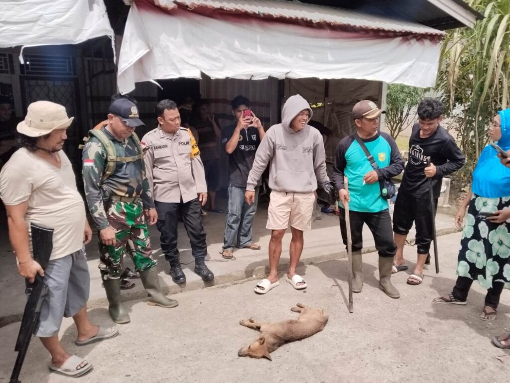 Dua Warga Sekayam Jadi Korban Gigitan Anjing Diduga Rabies, Polisi Imbau Waspada