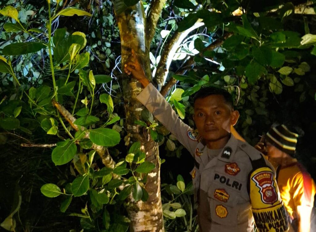 Pria 42 Tahun Ditemukan Tewas Tergantung di Kebun Sawit Parindu, Polisi Pastikan Tidak Ada Tanda Kekerasan