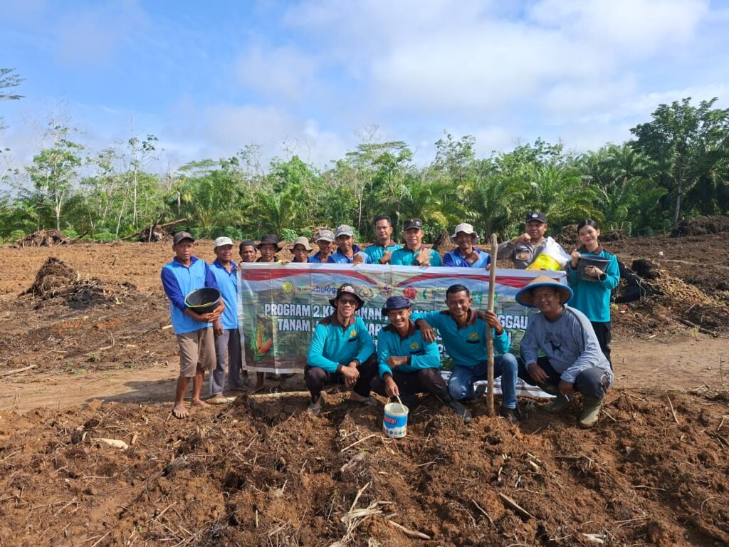 Polsek Parindu Tanam Jagung Hibrida 1 Hektare, Dukung Ketahanan Pangan Program 100 Hari Asta Cita