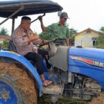 Kapolsek Mukok Pimpin Persiapan Penanaman Jagung Hibrida Demplot 2, Perkuat Ketahanan Pangan di Kecamatan Mukok