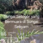 Aliran Limbah Diduga Mengarah ke Sungai Sekayam, Warga Sotok Minta Pemerintah Turun Tangan