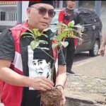Gerakan Hijau dari DPRD Sanggau, Hendrikus Hengki Ajak Masyarakat Tanam Pohon