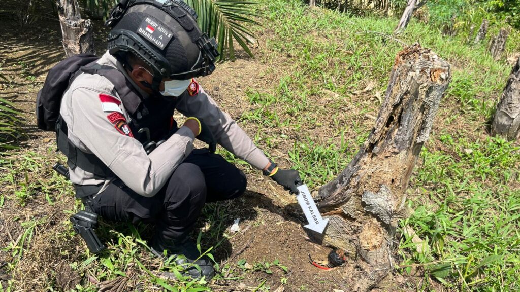 Satbrimob Kalbar Amankan dan Hancurkan Granat Nanas Temuan Masyarakat Landak