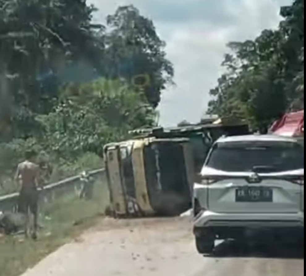 Diduga Hilang Kendali, Truk Bermuatan Sawit Keluar dari Badan Jalan di Batang Tarang
