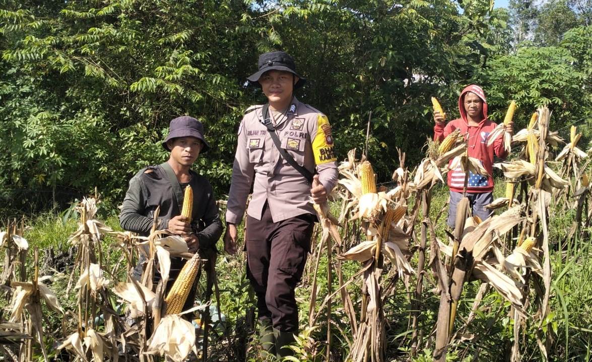 IPTU Hudson Siahaan: Ketahanan Pangan Dimulai dari Kekuatan Petani Lokal