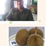 Tayan Hilir Turunkan Satu Peserta Ramaikan Kontes Durian Kapolres Cup Sanggau 2026
