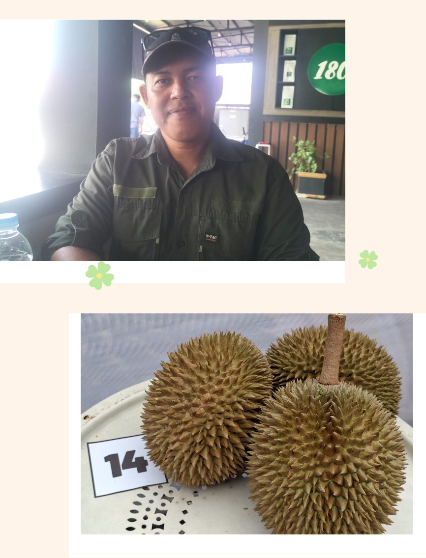 Tayan Hilir Turunkan Satu Peserta Ramaikan Kontes Durian Kapolres Cup Sanggau 2026