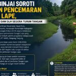 Diduga Tercemar Limbah, Air Sungai Lape Menghitam, Kades Binjai Minta Investigasi Menyeluruh