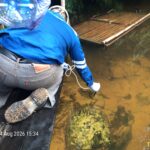 DLH Kabupaten Sanggau Bersama Forkopimcam Tayan Hulu Tindak Lanjuti Dugaan Pencemaran Sungai Lape