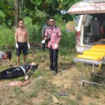 Kontainer Oleng Tabrak Sepeda Motor di Batang Tarang, Satu Pengendara Tewas