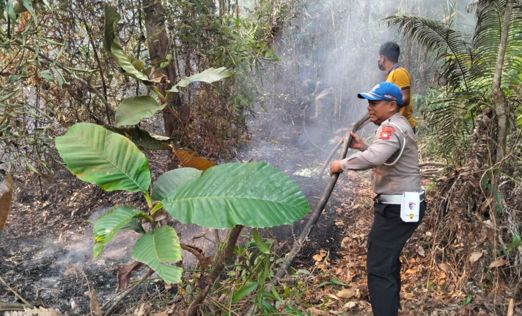 Puntung Rokok Diduga Picu Karhutla di Sanggau, Petugas Bergerak Cepat Padamkan Api