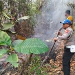 Puntung Rokok Diduga Picu Karhutla di Sanggau, Petugas Bergerak Cepat Padamkan Api