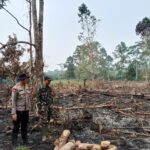 Polsek Sanggau Ledo Temukan Tiga Titik Lahan Terbakar di Desa Pisak