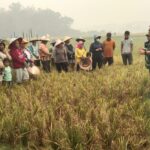 Mabes TNI Terjunkan 22 Personil Bantu Tangani Karhutla di Bengkayang.