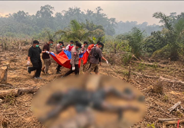 Pria 53 Tahun Ditemukan Tak Bernyawa di Ladang Sotok, Jenazah Dievakuasi